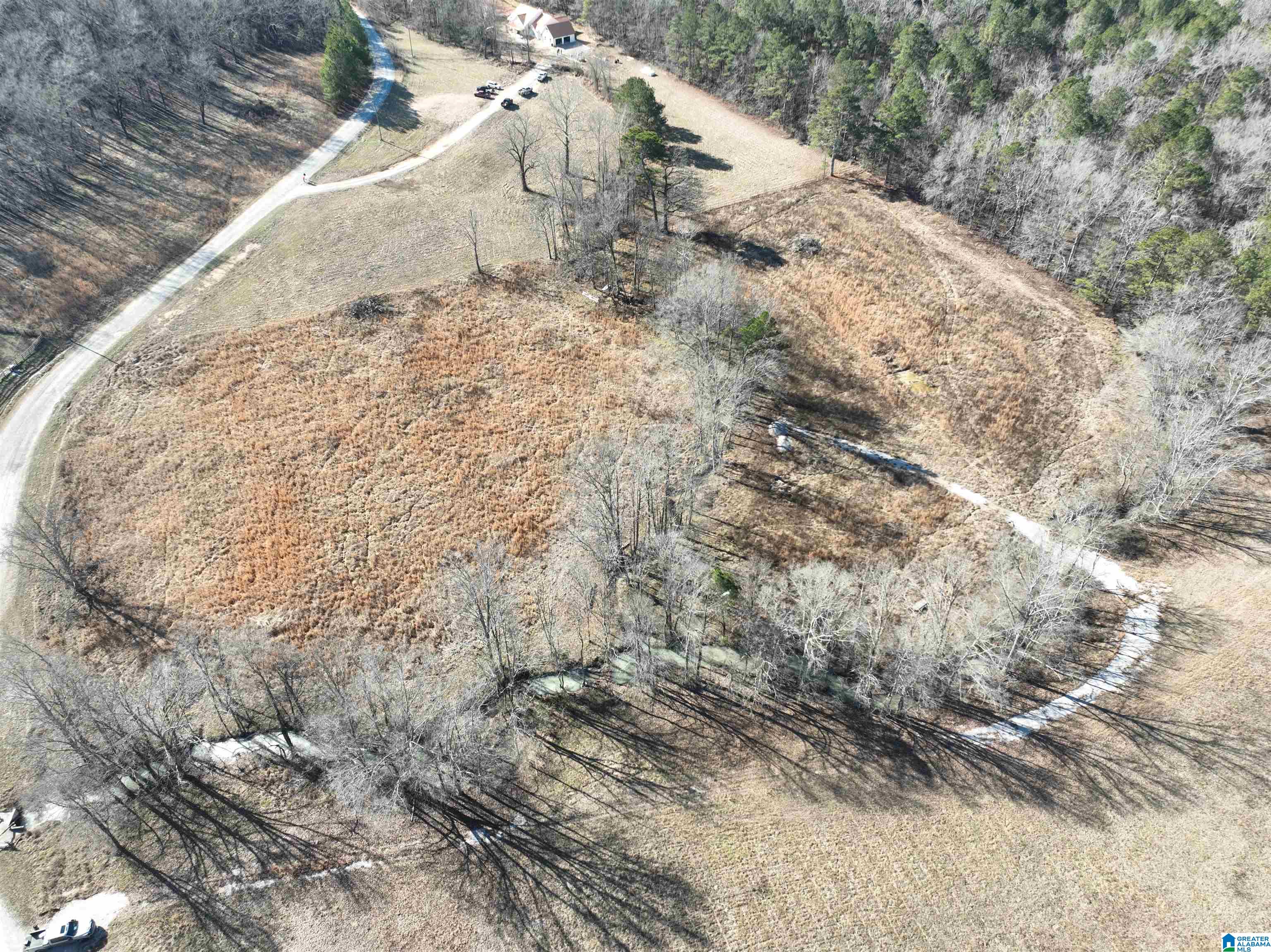 0 Poplar Springs Road Ashville, AL 35953 - Photo 9 of 10