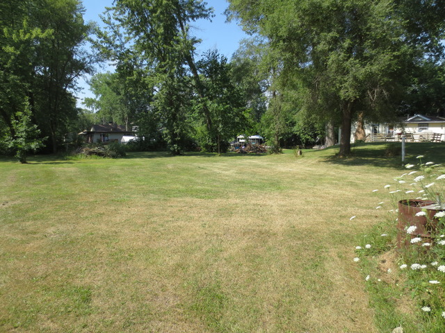 26211 West Rollins Road Ingleside, IL 60041 - Photo 5 of 16 a view of a trees with outside space