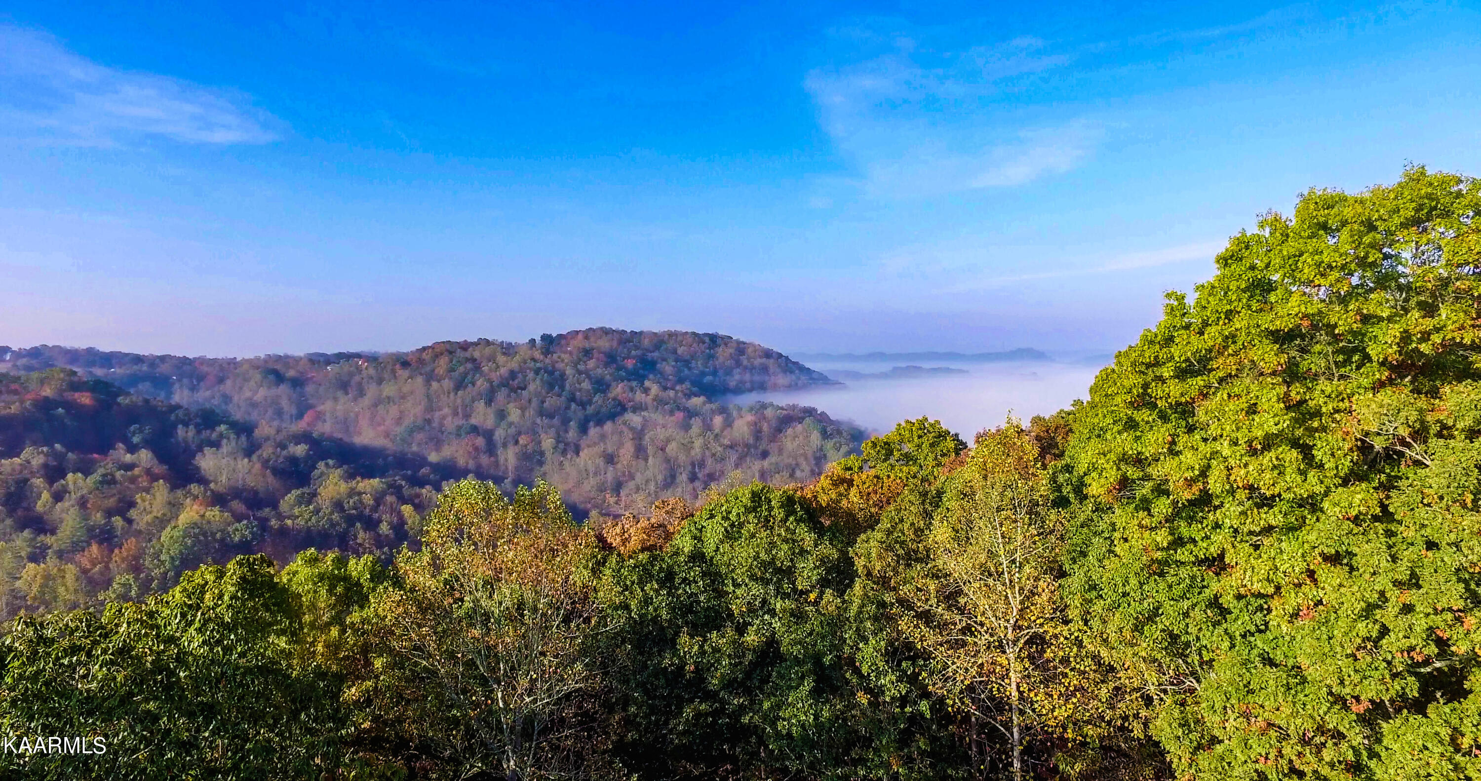 2929 Long Hollow Road Powell, TN 37849 - Photo 3 of 23 3. Aerial View