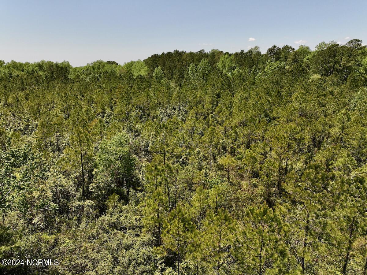 0 George Road Havelock, NC 28532 - Photo 15 of 28 14