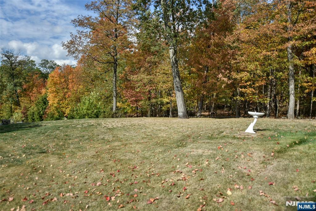 951 Berdan Avenue Wayne, NJ 07470 - Photo 34 of 39 a view of yard with trees