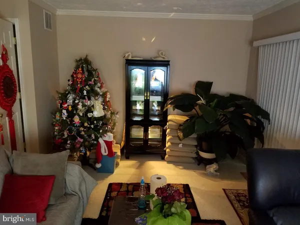 a view of a entryway with flower pots