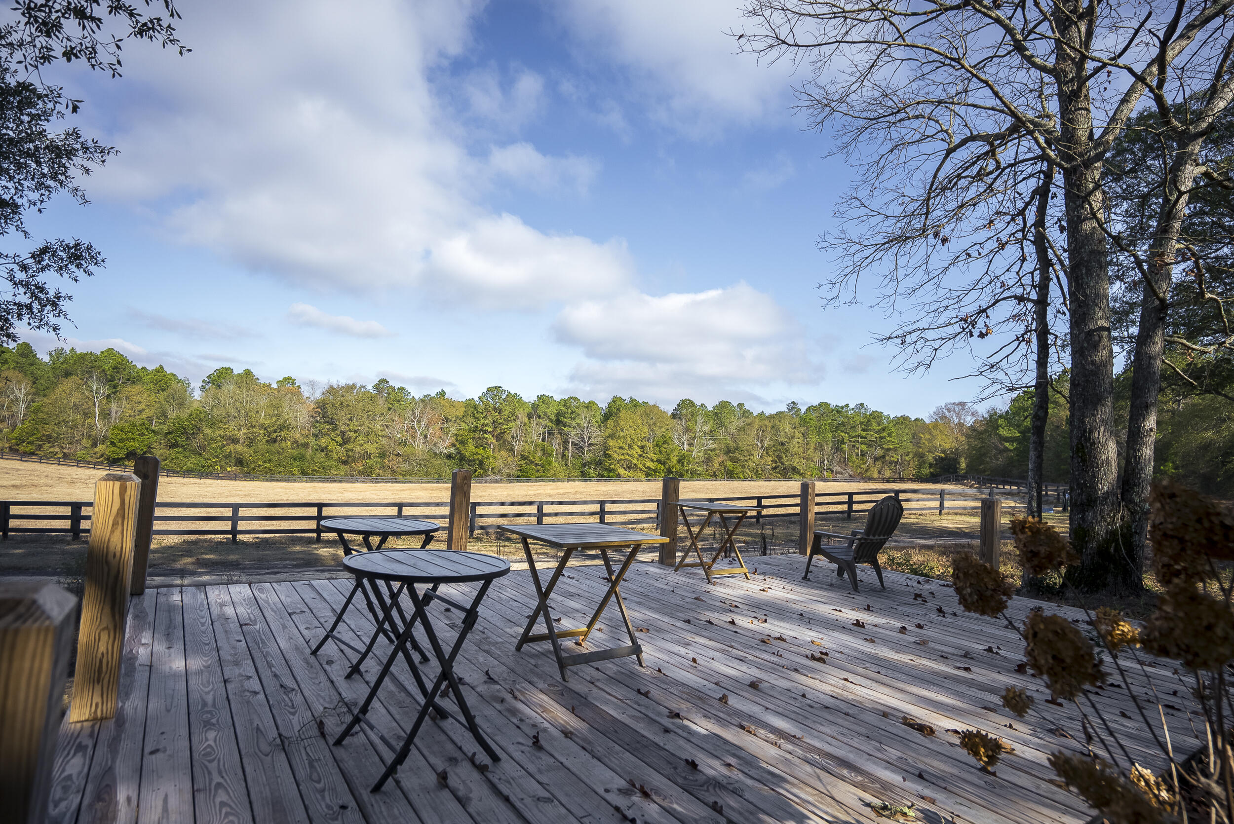 2300 Salley Road Salley, SC 29137 - Photo 83 of 89