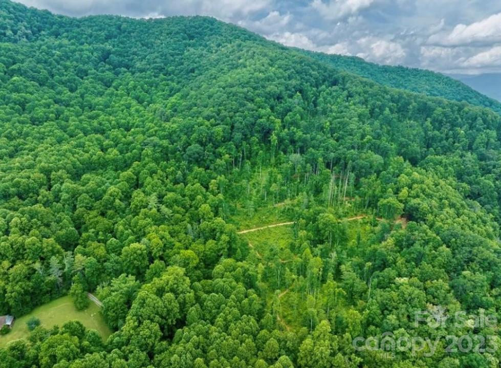 2 Macktown Gap Road Sylva, NC 28779 - Photo 4 of 8 Gallery Image 4