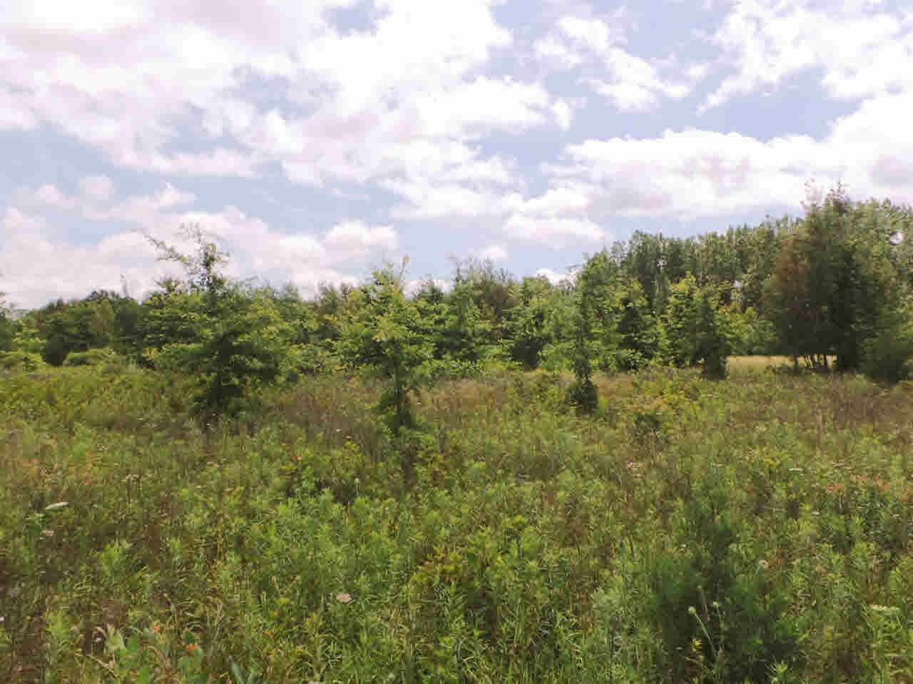 0 South Fowler Road Henderson, MI 48841 - Photo 7 of 8 21345132-6.JPG