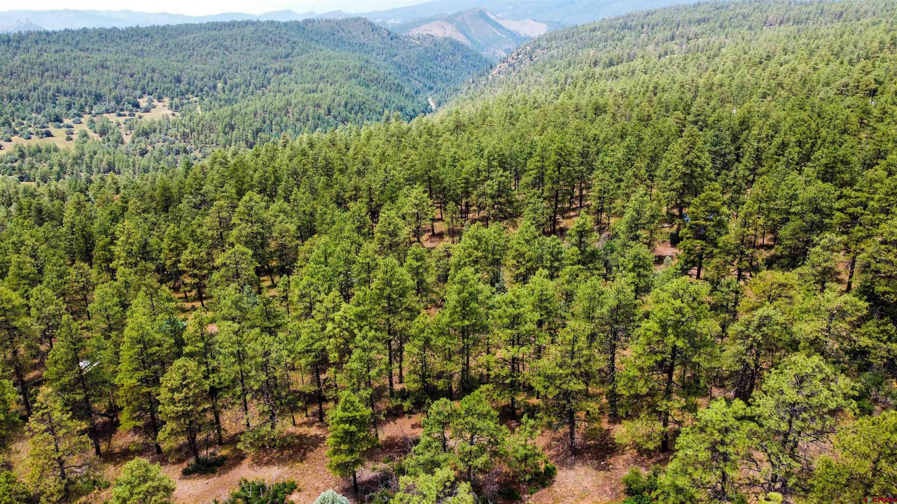 a view of a large yard with lots of green space