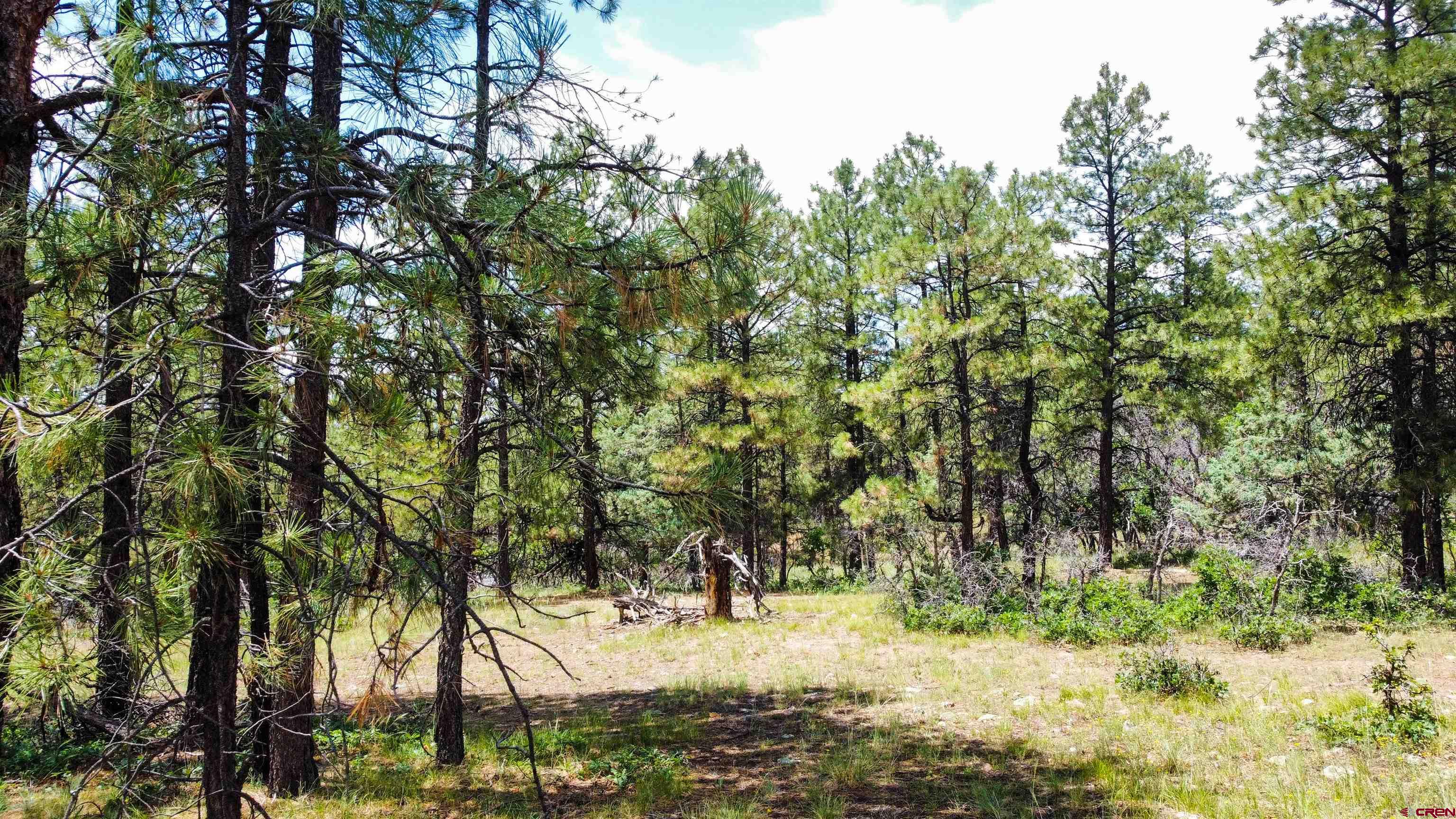 160 Far View Road Pagosa Springs, CO 81147 - Photo 15 of 34 a view of outdoor space