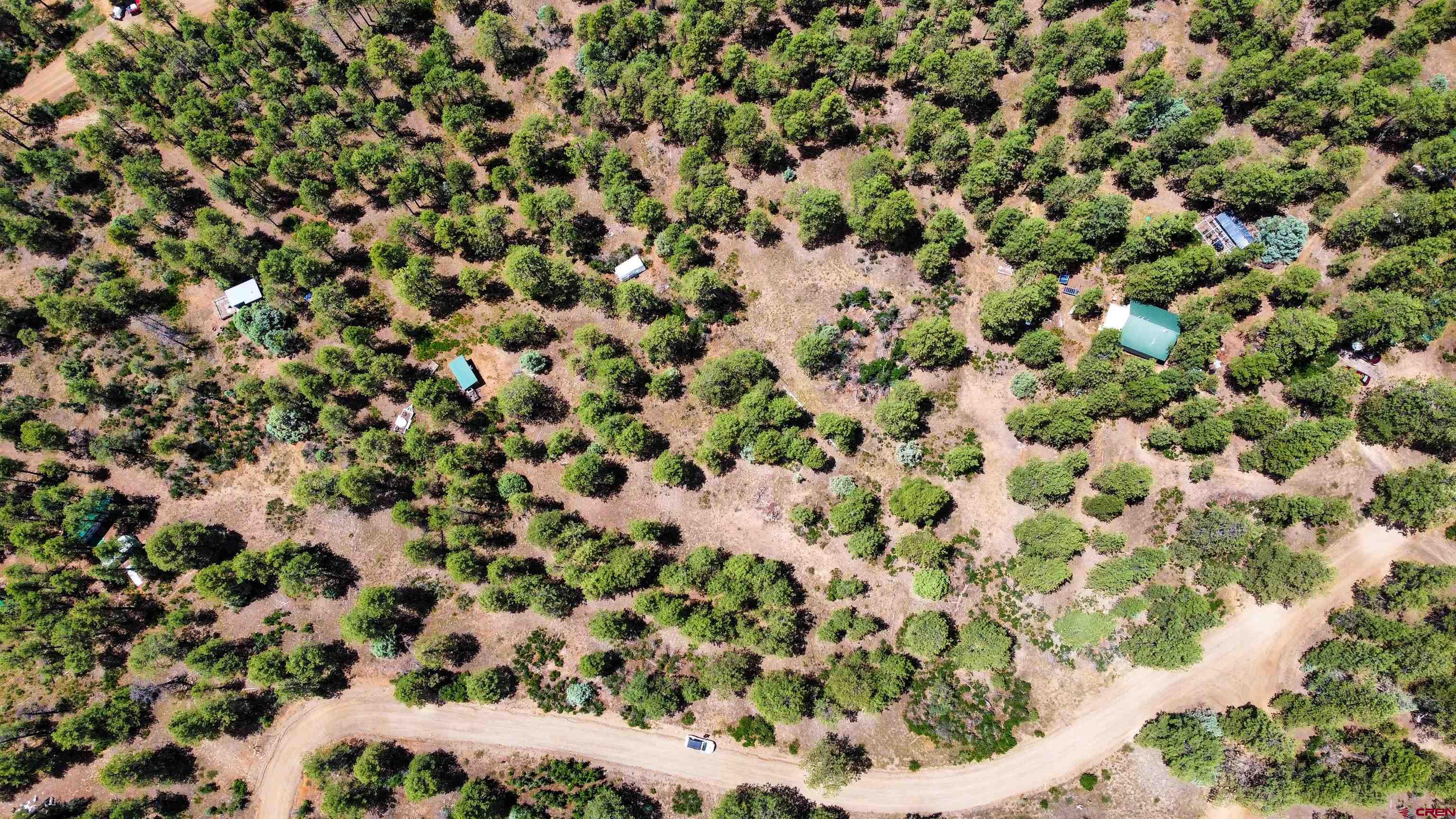160 Far View Road Pagosa Springs, CO 81147 - Photo 17 of 34 a view of a plant
