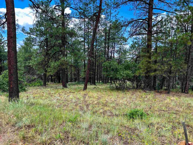 a view of backyard of a house with lots of green space
