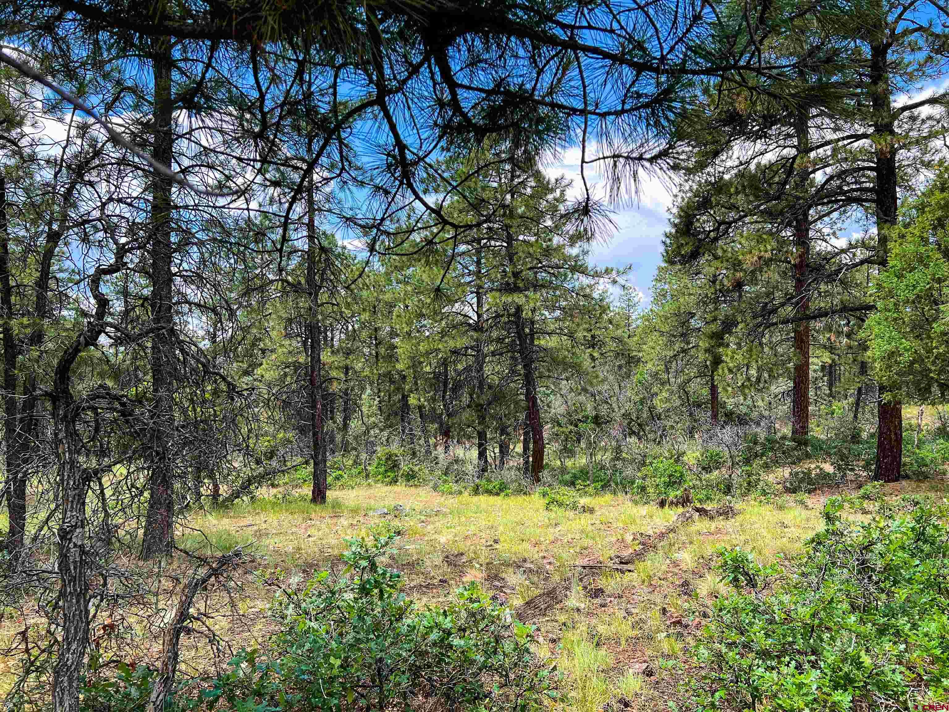 160 Far View Road Pagosa Springs, CO 81147 - Photo 22 of 34 a view of backyard of a house