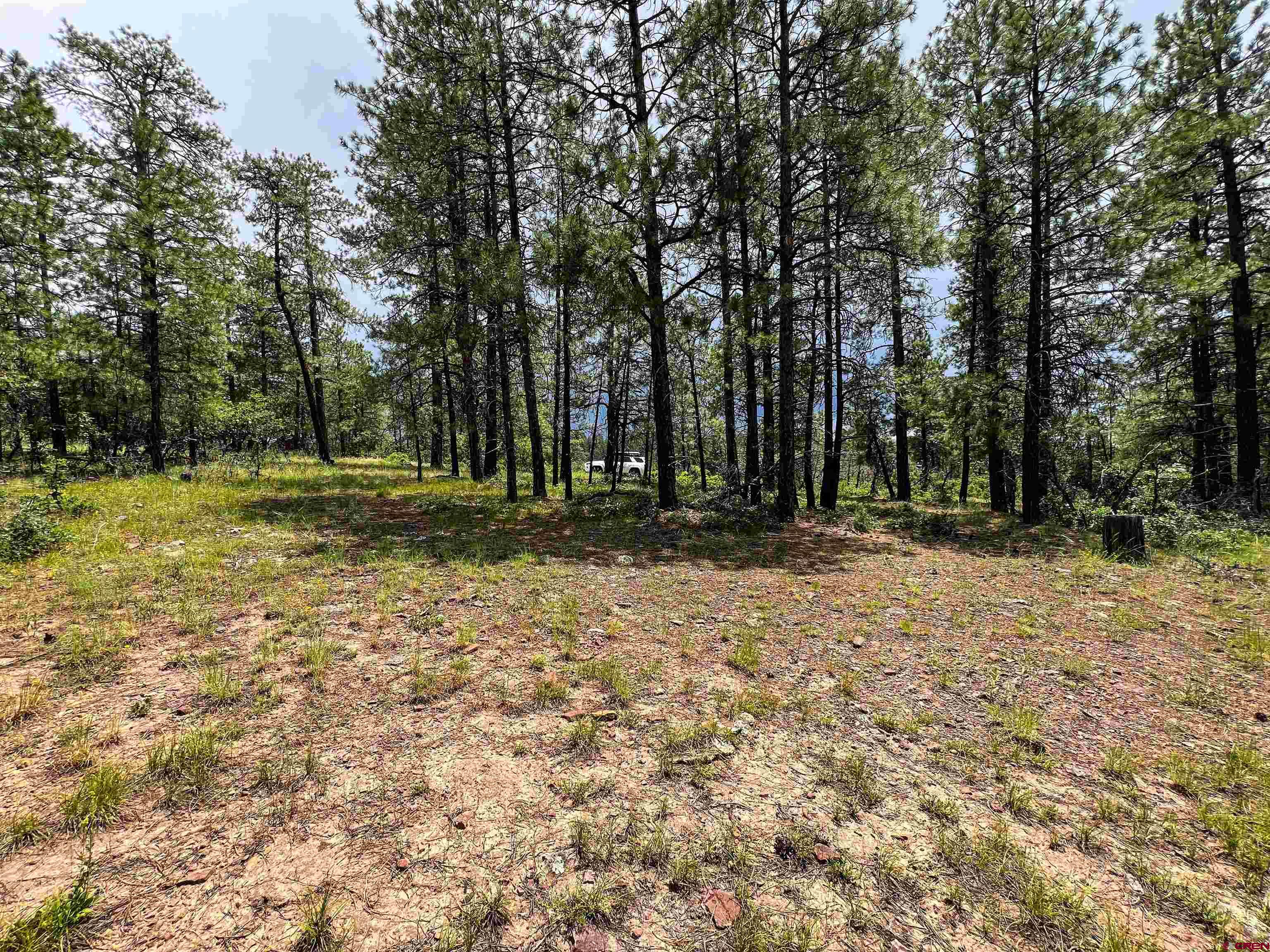 160 Far View Road Pagosa Springs, CO 81147 - Photo 26 of 34 a backyard of a house with lots of green space