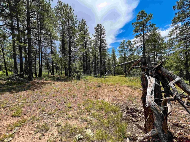 a view of outdoor space with trees
