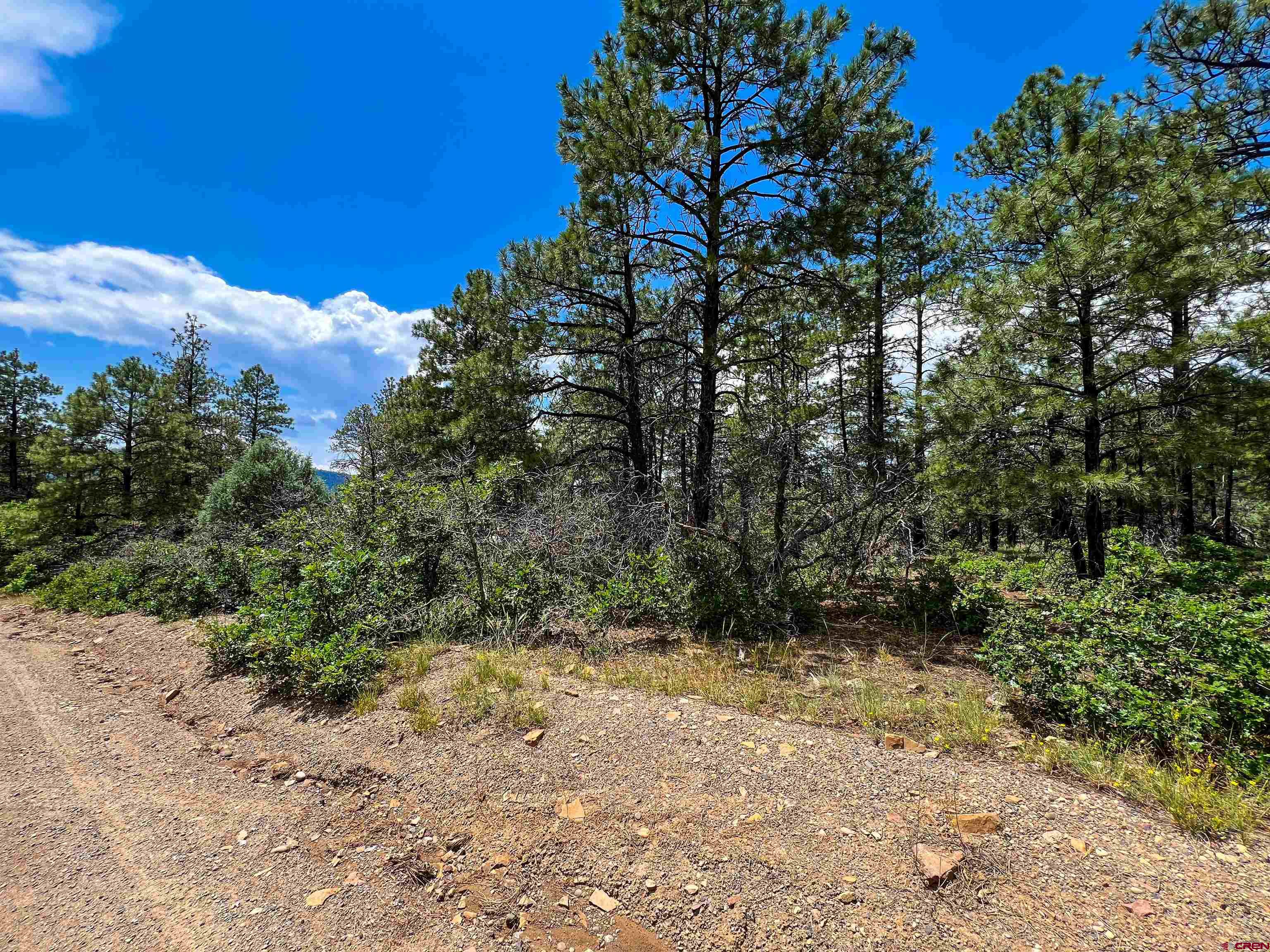160 Far View Road Pagosa Springs, CO 81147 - Photo 31 of 34 a view of a yard