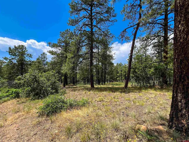 $33,000 | 160 Far View Road, Pagosa Springs, CO 81147