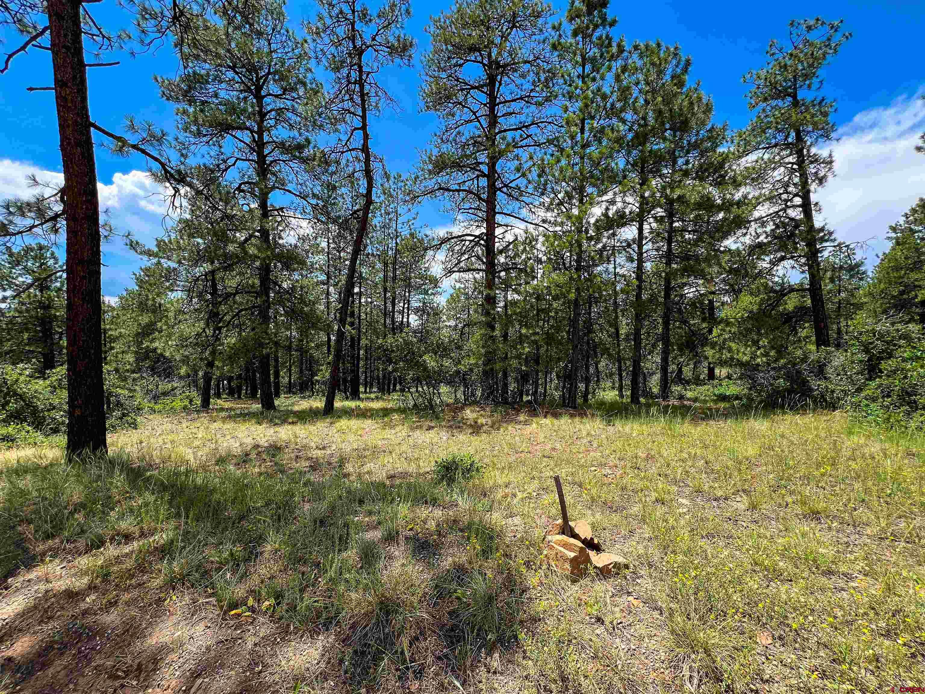 160 Far View Road Pagosa Springs, CO 81147 - Photo 34 of 34 a backyard of a house with lots of green space