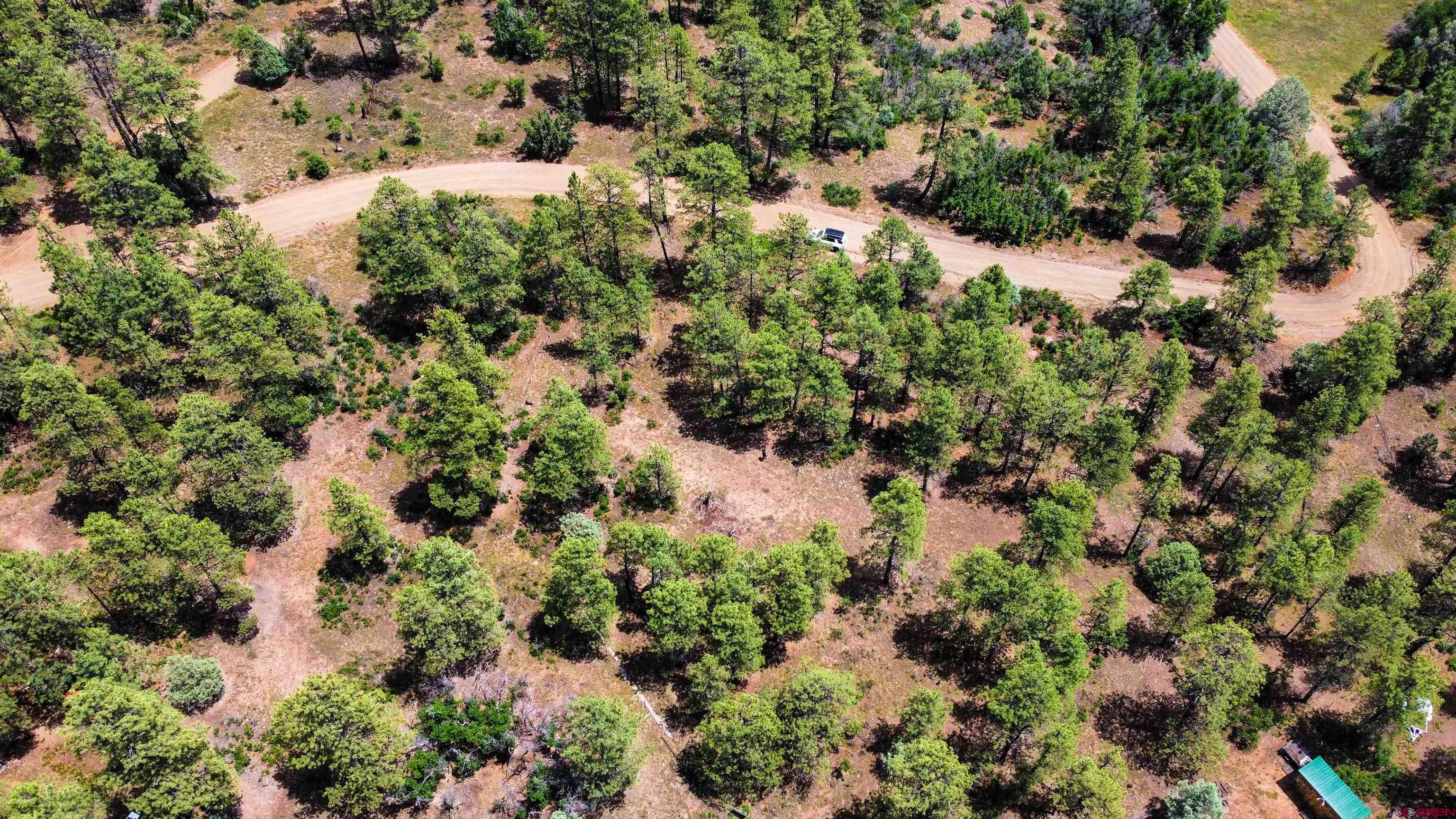 160 Far View Road Pagosa Springs, CO 81147 - Photo 9 of 34 a view of a forest with a tree