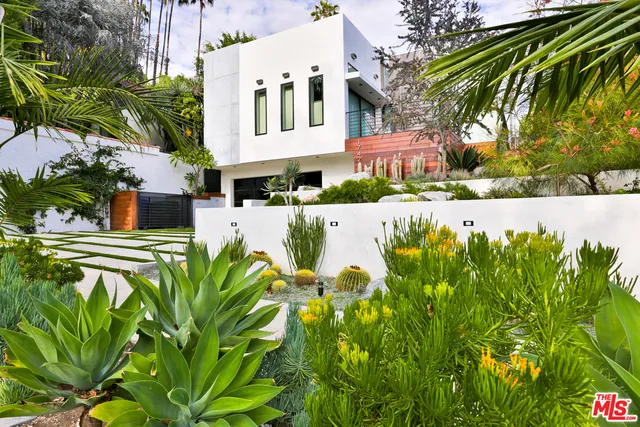 a view of a garden with plants