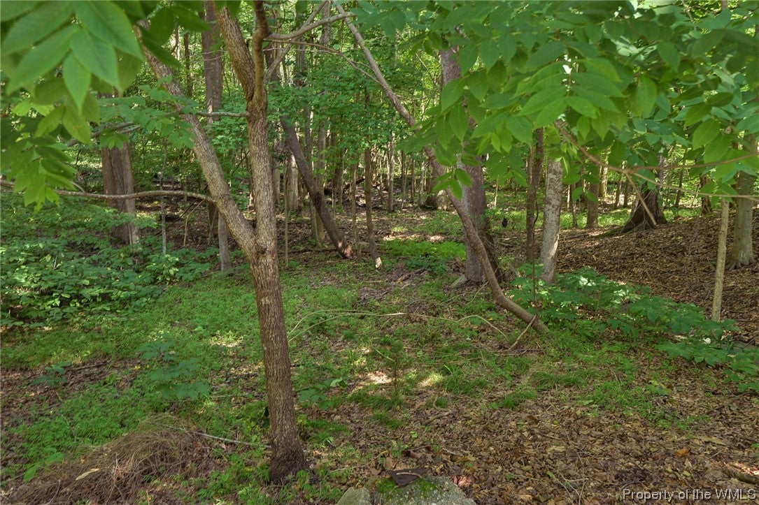 154 Cooley Road Williamsburg, VA 23188 - Photo 35 of 38 Gallery Image 35