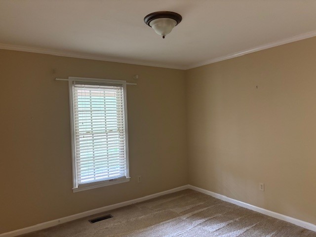 304 Stoneybrook Road Columbia, TN 38401 - Photo 11 of 29 Gallery Image 11