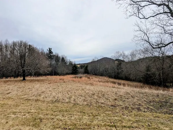 a front view of a house with yard and garage