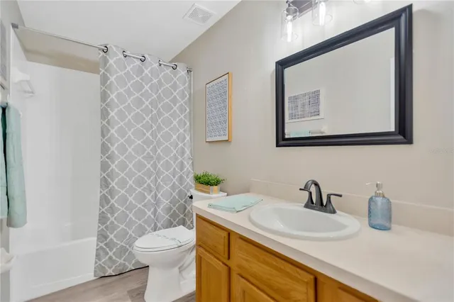 a bathroom with a sink a toilet and shower curtain