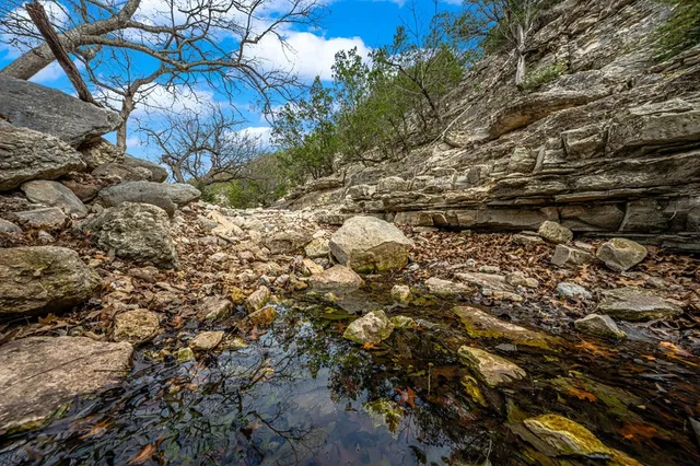 a view of a park with a slide