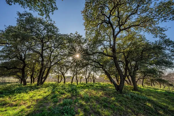 $2,499,999 | 331 Kc 2751, Junction, TX 76849