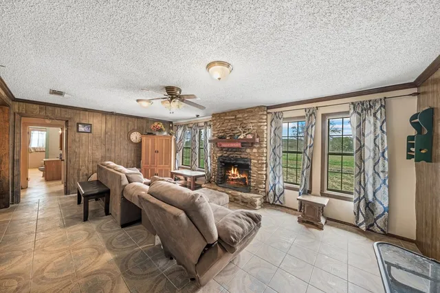 a view of a backyard with large trees