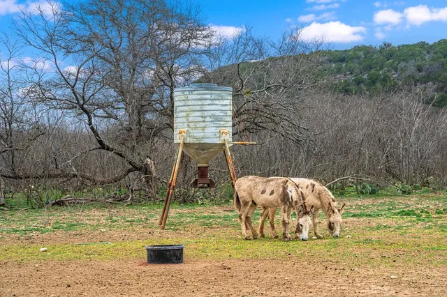 $2,499,999 | 331 Kc 2751, Junction, TX 76849