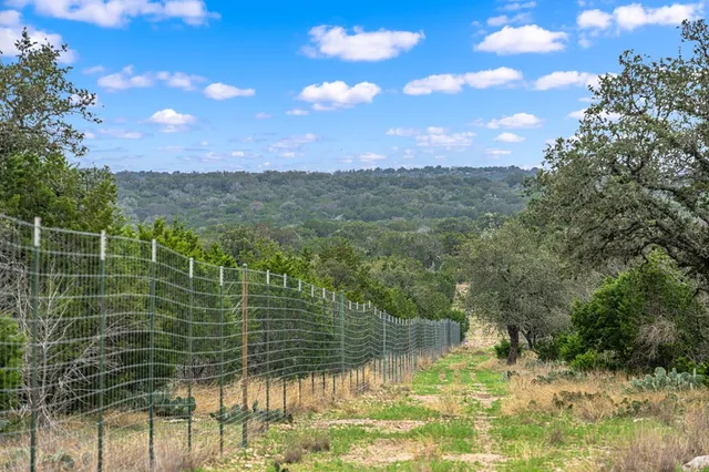 a view of a yard with a tree