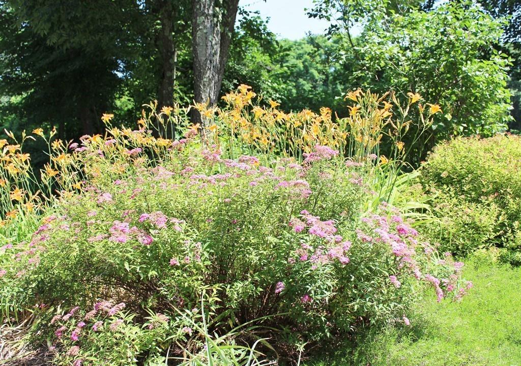 166 Old Webster Road Oxford, MA 01540 - Photo 31 of 37 Gallery Image 31