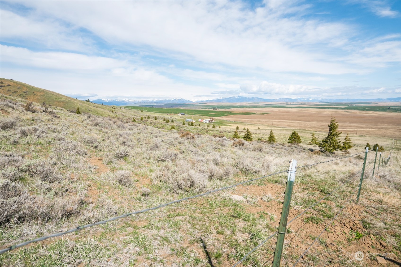 1616 Baseline Road Waterville, WA 98858 - Photo 11 of 37 Gallery Image 11