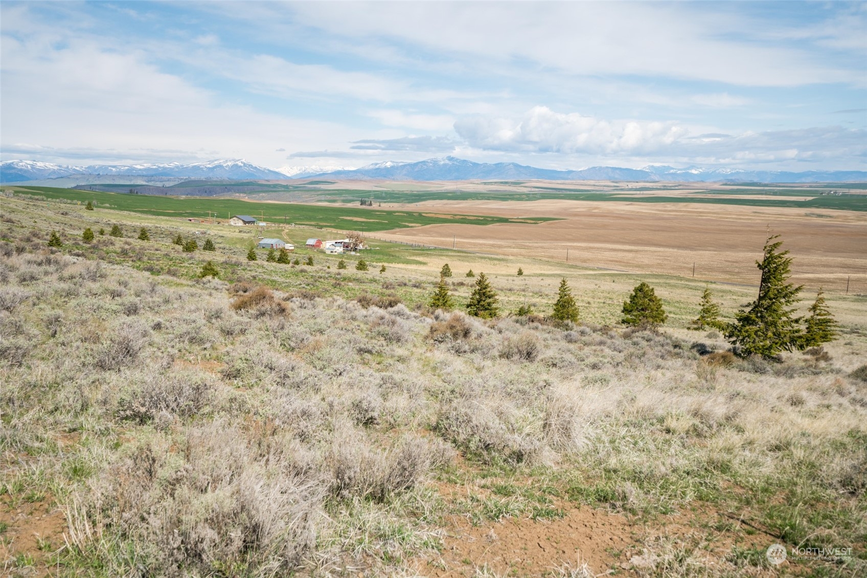 1616 Baseline Road Waterville, WA 98858 - Photo 12 of 37 Gallery Image 12