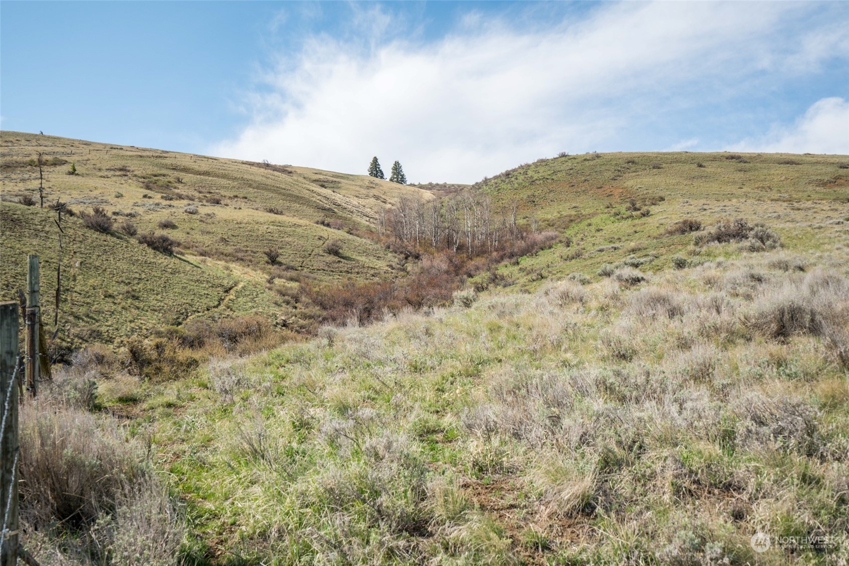1616 Baseline Road Waterville, WA 98858 - Photo 13 of 37 Gallery Image 13