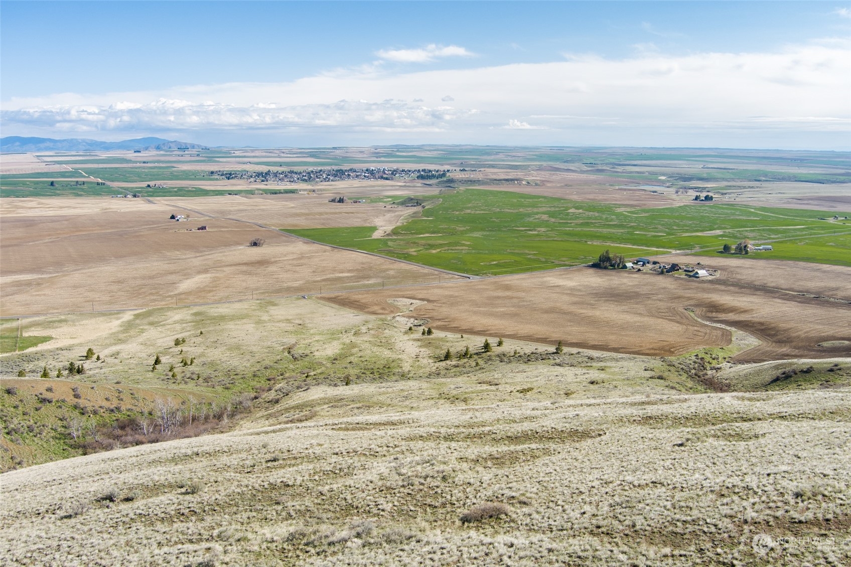 1616 Baseline Road Waterville, WA 98858 - Photo 16 of 37 Gallery Image 16