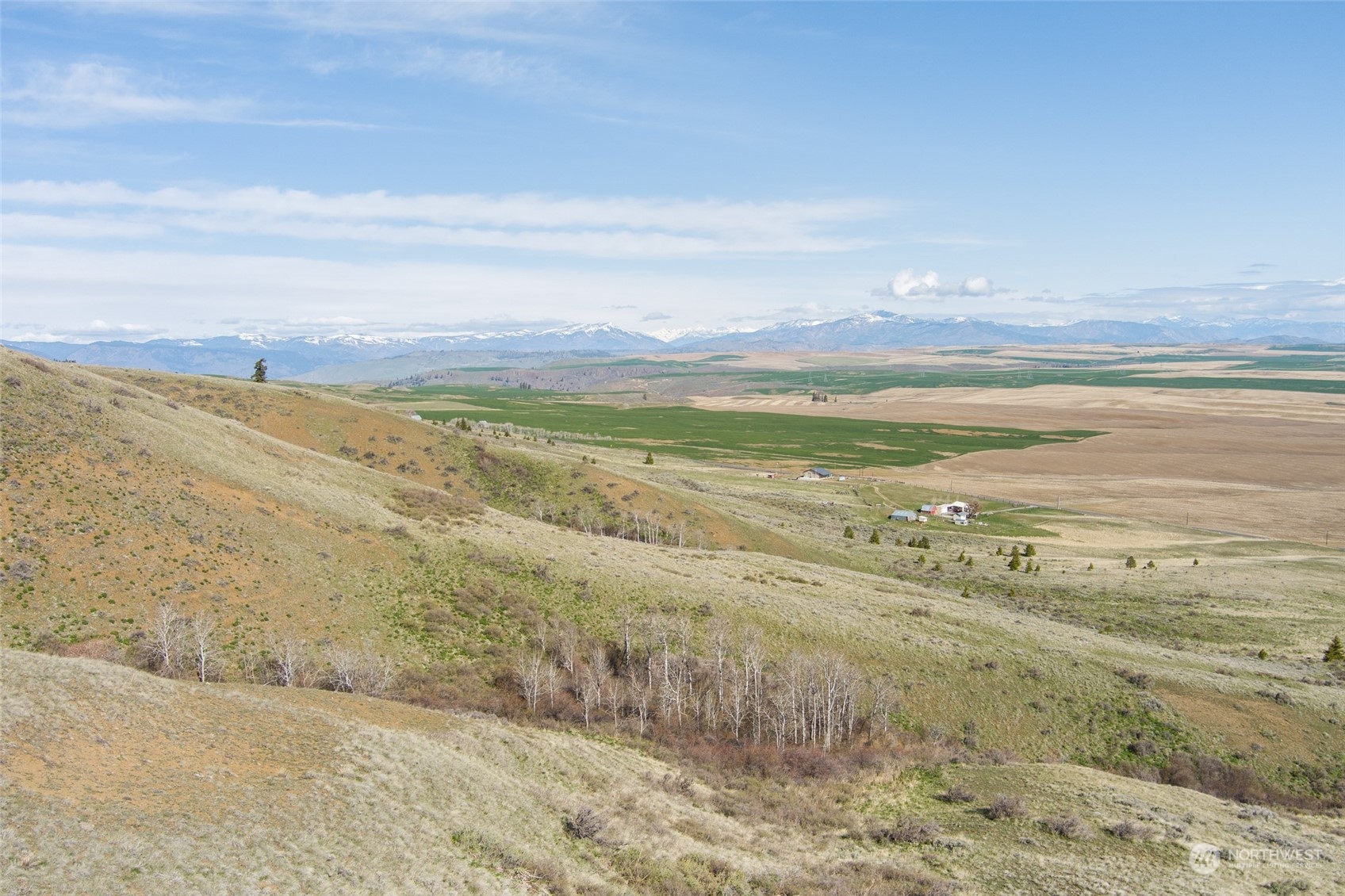 1616 Baseline Road Waterville, WA 98858 - Photo 27 of 37 Gallery Image 27