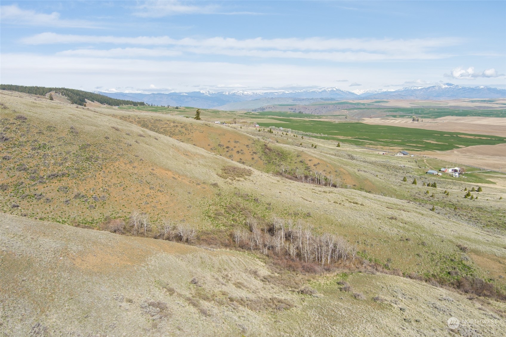 1616 Baseline Road Waterville, WA 98858 - Photo 30 of 37 Gallery Image 30