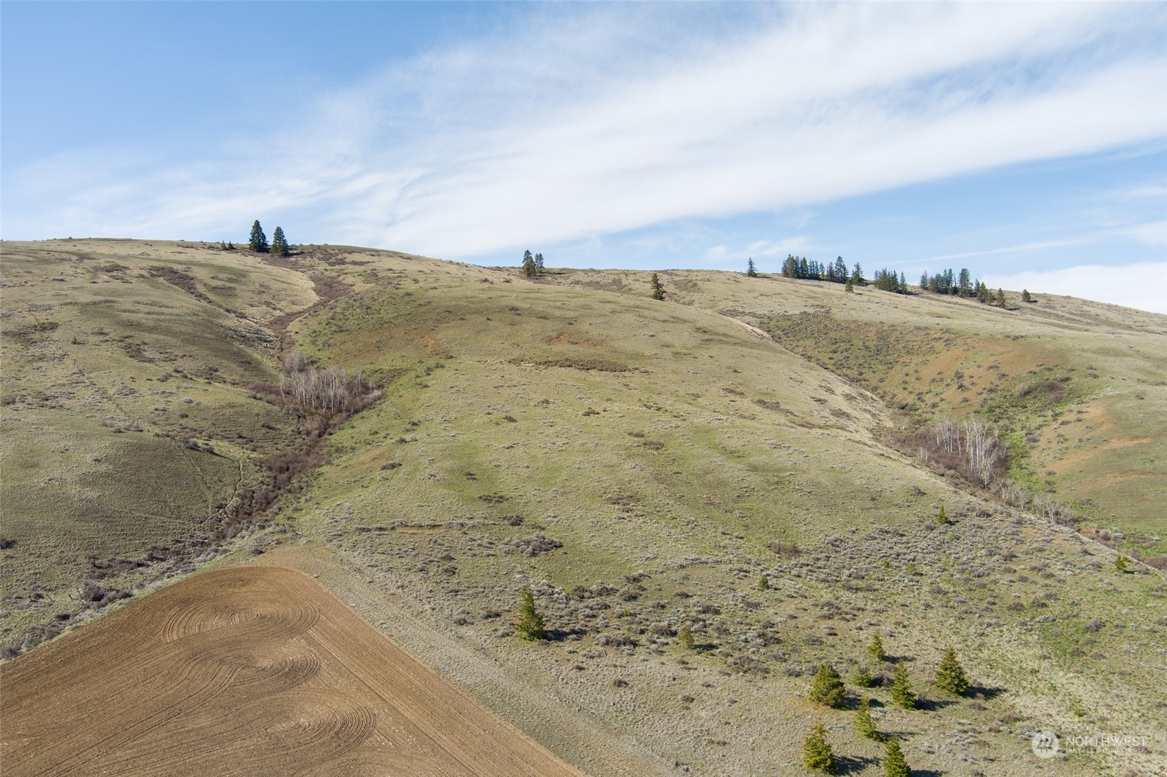 1616 Baseline Road Waterville, WA 98858 - Photo 34 of 37 Gallery Image 34