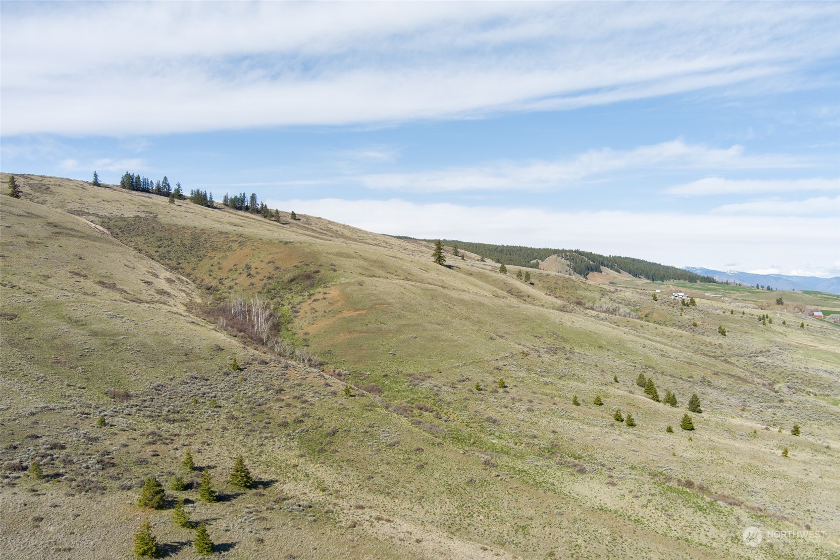 1616 Baseline Road Waterville, WA 98858 - Photo 35 of 37 Gallery Image 35