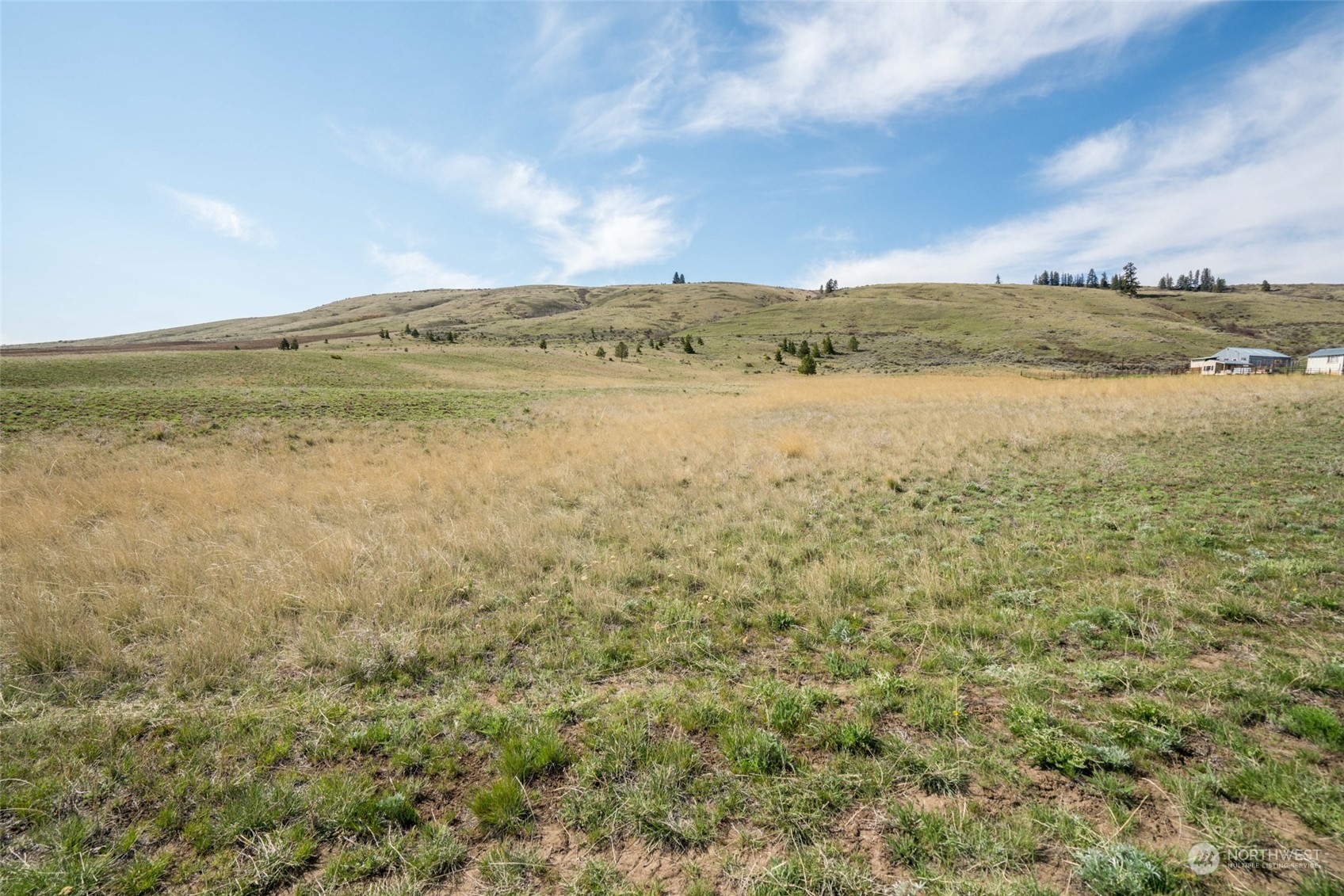 1616 Baseline Road Waterville, WA 98858 - Photo 37 of 37 Gallery Image 37