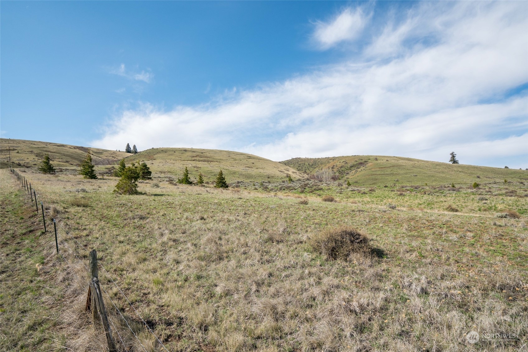 1616 Baseline Road Waterville, WA 98858 - Photo 10 of 37 Gallery Image 10