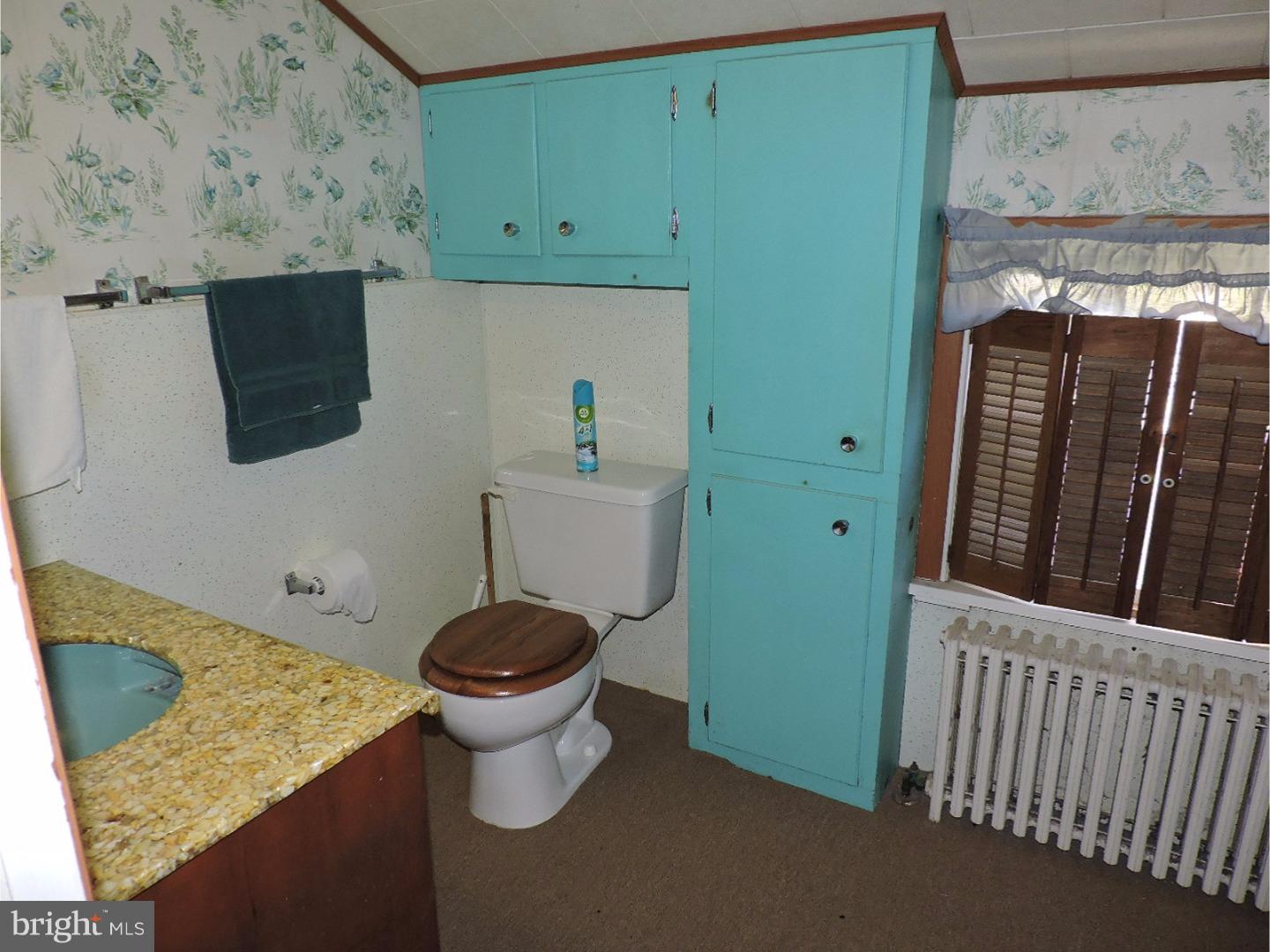 2225 Herb Road Temple, PA 19560 - Photo 13 of 25 Bathroom