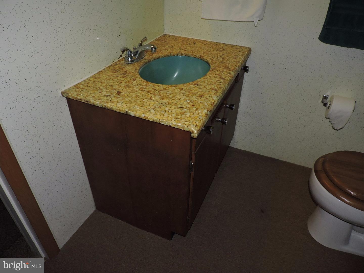 2225 Herb Road Temple, PA 19560 - Photo 14 of 25 Bathroom