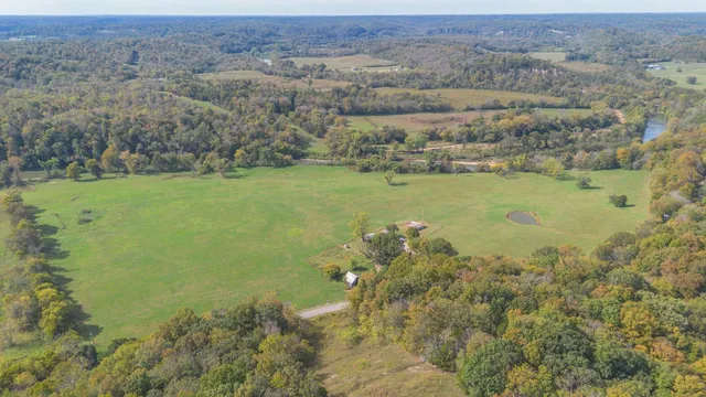 a view of a lake with a mountain and trees