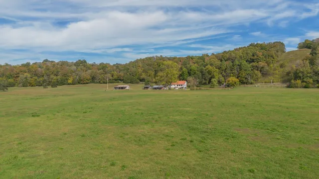a view of a field with an ocean