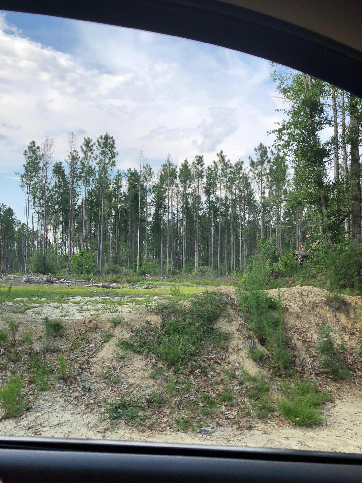 Xxx Barton Road Baker, FL 32531 - Photo 2 of 2 IMG_4202