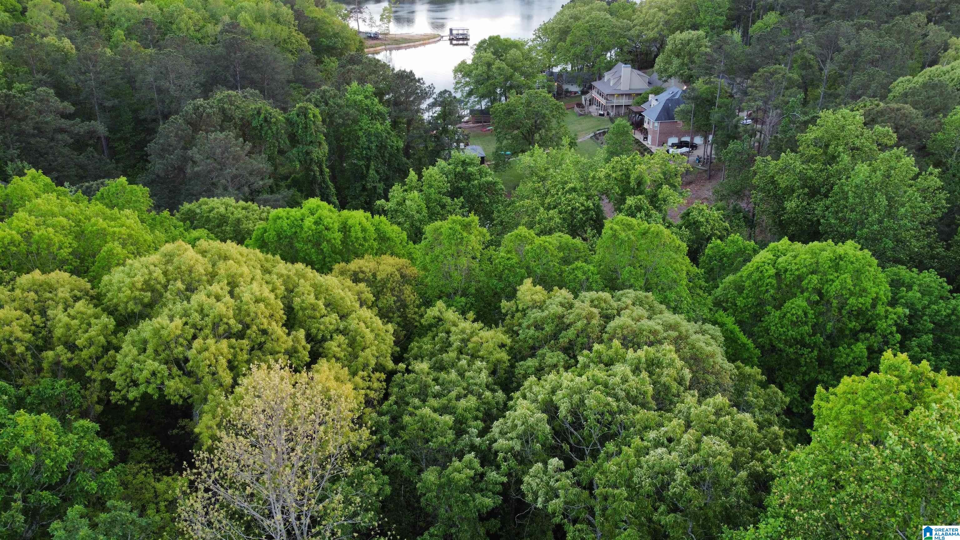 Lakeview Drive, Unit 53 Alpine, AL 35014 - Photo 25 of 35