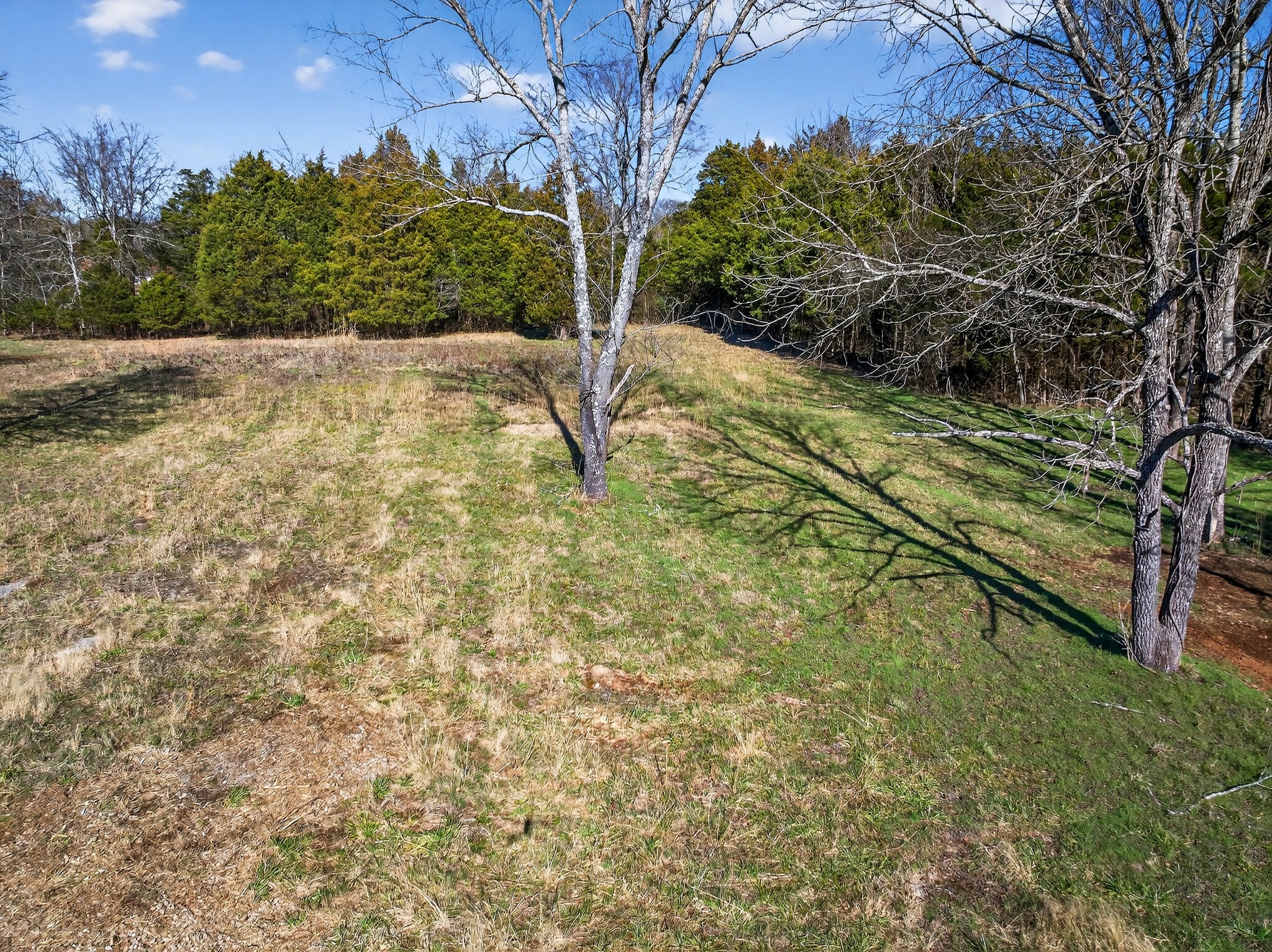 1 A Quarry Road Mount Juliet, TN 37122 - Photo 20 of 30 a view of backyard with green space