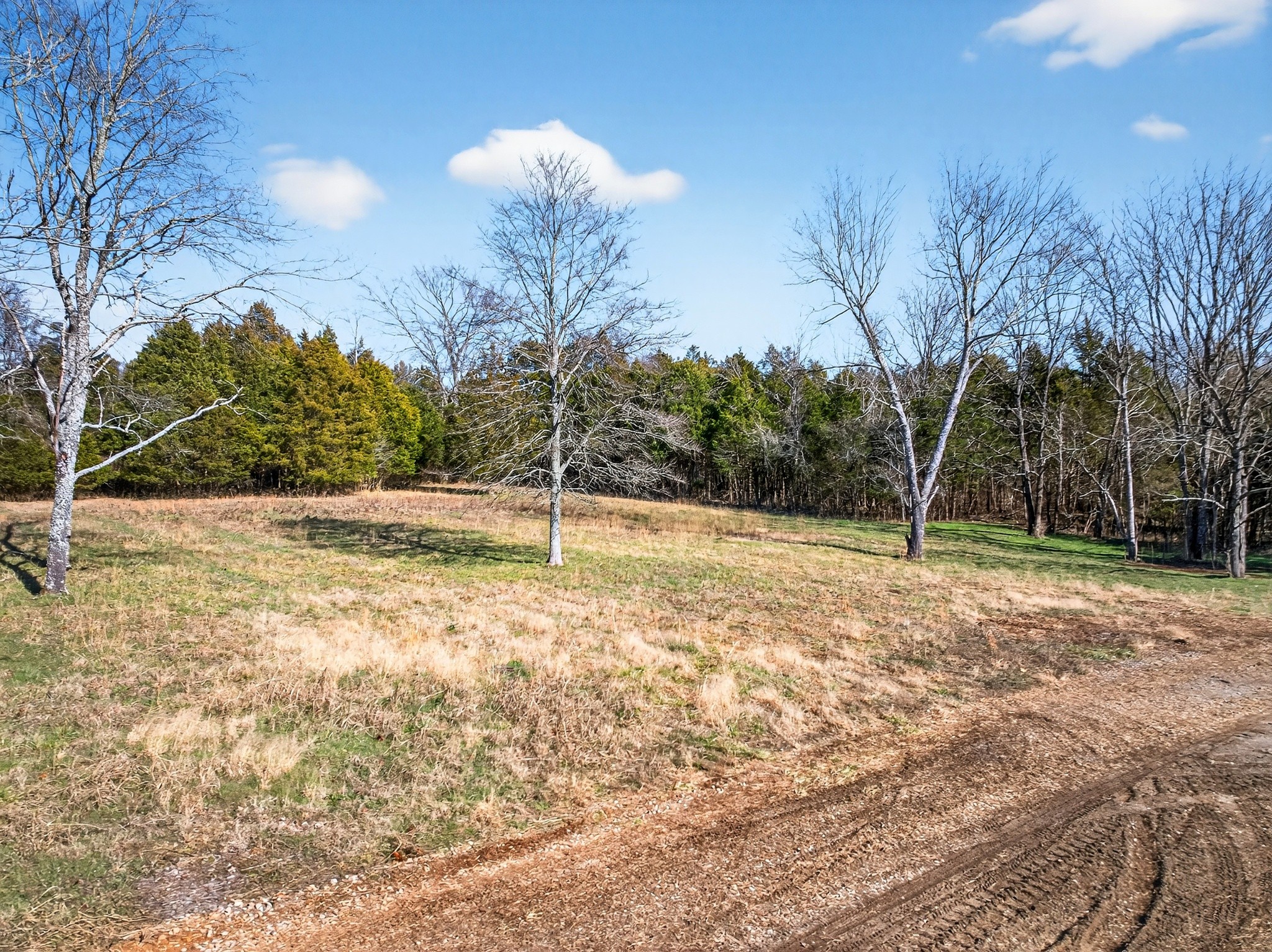 1 A Quarry Road Mount Juliet, TN 37122 - Photo 2 of 30 a view of a backyard