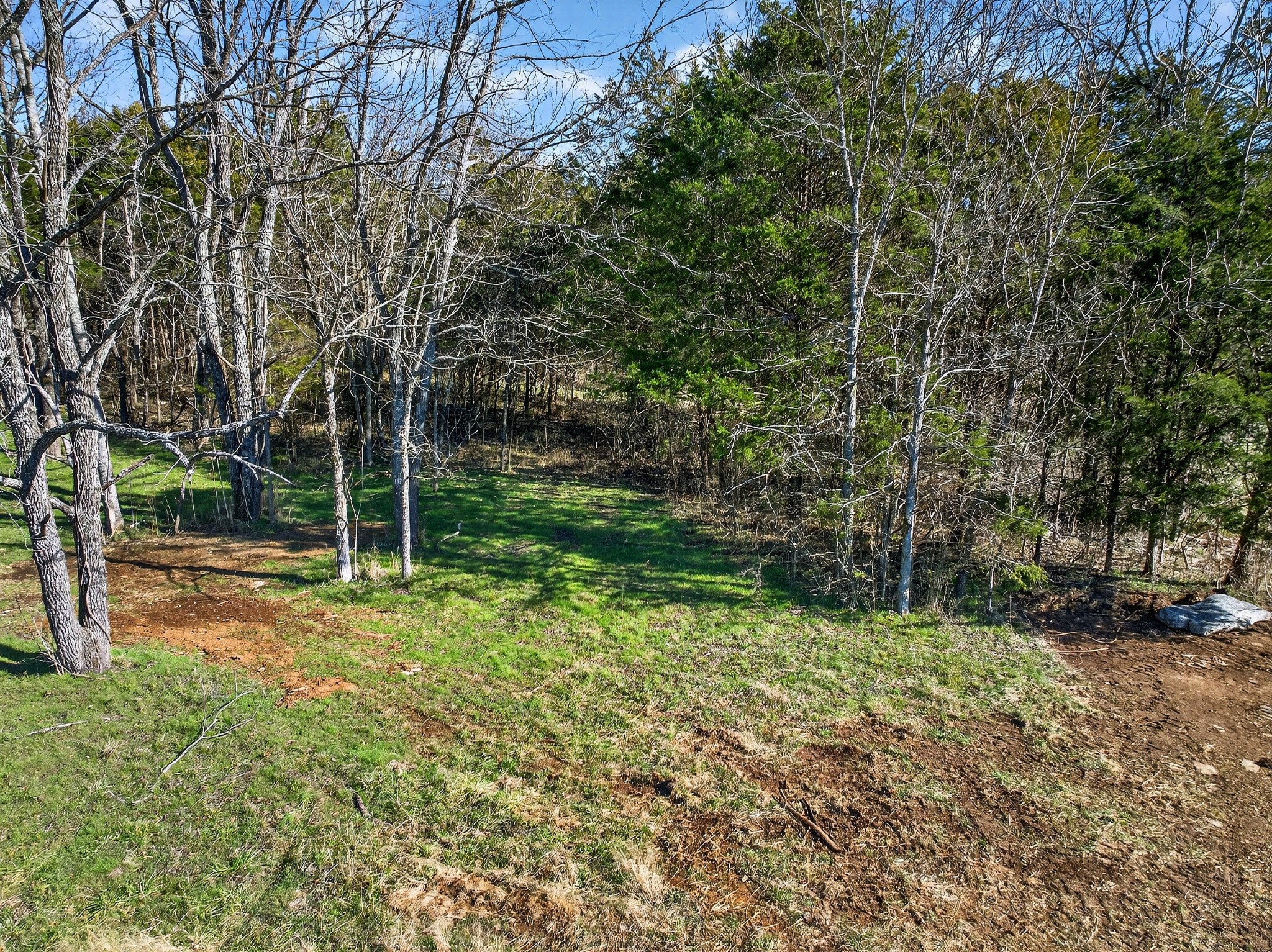 1 A Quarry Road Mount Juliet, TN 37122 - Photo 21 of 30 a view of backyard with tree
